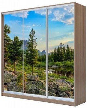 Шкаф-купе ХИТ 24-20/2-777 ПРИРОДА в Покачах - pokachi.mebel24.online | фото