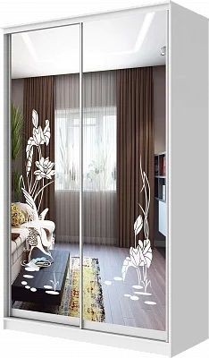 Шкаф-купе ХИТ 24-4-12-66 ЦАПЛИ в Покачах - pokachi.mebel24.online | фото