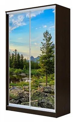 Шкаф-купе ХИТ 24-4-14-77 ПРИРОДА в Покачах - pokachi.mebel24.online | фото