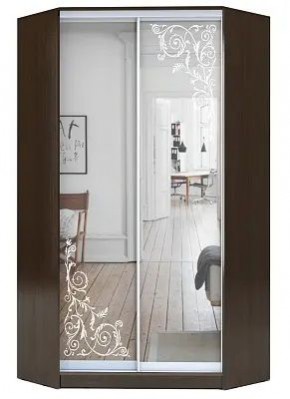 Шкаф-купе ХИТ-У-23-4-66 ОРНАМЕНТ в Покачах - pokachi.mebel24.online | фото