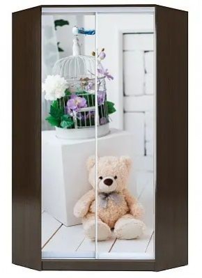 Шкаф-купе ХИТ-У-R-23-64-77 МИШКА В ИНТЕРЬЕРЕ в Покачах - pokachi.mebel24.online | фото