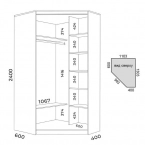 Шкаф-купе ХИТ-У-R-24-64-11 в Покачах - pokachi.mebel24.online | фото 3