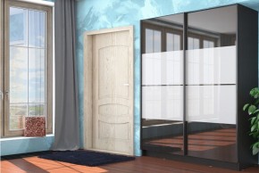 Шкаф-купе Марвин-3 СТЛ.299.05 в Покачах - pokachi.mebel24.online | фото 3