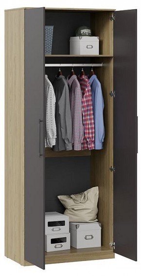 Шкаф платяной Агата в Покачах - pokachi.mebel24.online | фото 2