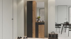 Шкаф платяной Асти в Покачах - pokachi.mebel24.online | фото 5