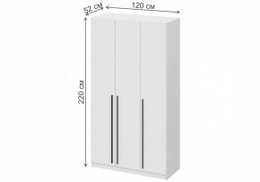 Шкаф платяной Бирма ШК-1200 в Покачах - pokachi.mebel24.online | фото 4