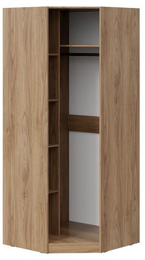 Шкаф платяной Глосс СМ-319.07.312 в Покачах - pokachi.mebel24.online | фото 2