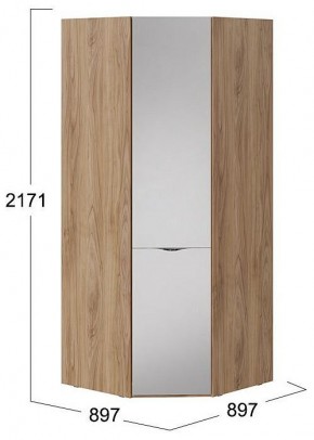 Шкаф платяной Глосс СМ-319.07.312 в Покачах - pokachi.mebel24.online | фото 4