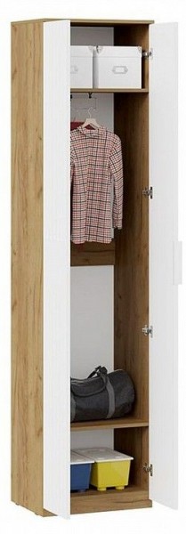 Шкаф платяной Хилтон Исп. 2 в Покачах - pokachi.mebel24.online | фото 3