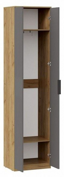 Шкаф платяной Хилтон Исп. 2 в Покачах - pokachi.mebel24.online | фото 2