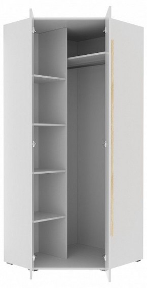 Шкаф платяной Куба 1725.М3 в Покачах - pokachi.mebel24.online | фото 11
