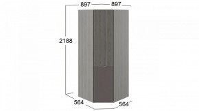 Шкаф платяной Либерти СМ-297.07.033 в Покачах - pokachi.mebel24.online | фото 3