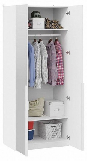 Шкаф платяной Порто СМ-393.07.004 в Покачах - pokachi.mebel24.online | фото 4