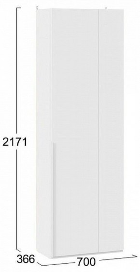 Шкаф платяной Порто СМ-393.07.231 в Покачах - pokachi.mebel24.online | фото 8