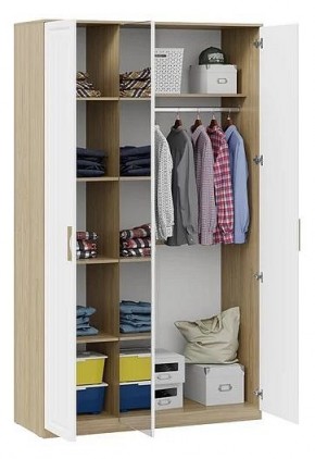 Шкаф платяной Сэнди в Покачах - pokachi.mebel24.online | фото 3