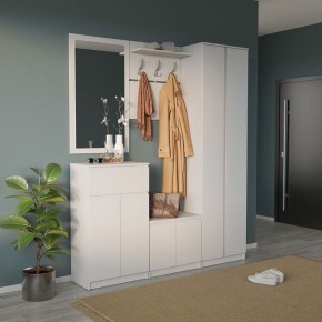 Шкаф платяной ШО-4 в Покачах - pokachi.mebel24.online | фото 6