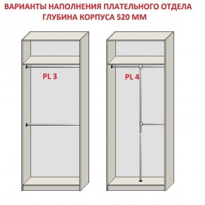 Шкаф распашной серия «ЗЕВС» (PL3/С1/PL2) в Покачах - pokachi.mebel24.online | фото 10