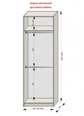 Шкаф распашной серия «ЗЕВС» (PL3/С1/PL2) в Покачах - pokachi.mebel24.online | фото 12