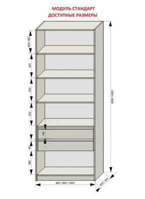 Шкаф распашной серия «ЗЕВС» (PL3/С1/PL2) в Покачах - pokachi.mebel24.online | фото 13