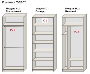 Шкаф распашной серия «ЗЕВС» (PL3/С1/PL2) в Покачах - pokachi.mebel24.online | фото 2