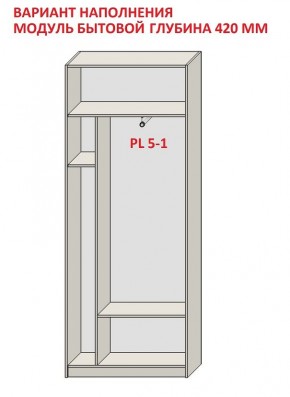 Шкаф распашной серия «ЗЕВС» (PL3/С1/PL2) в Покачах - pokachi.mebel24.online | фото 4