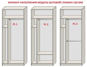 Шкаф распашной серия «ЗЕВС» (PL3/С1/PL2) в Покачах - pokachi.mebel24.online | фото 5