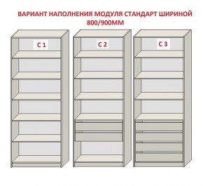 Шкаф распашной серия «ЗЕВС» (PL3/С1/PL2) в Покачах - pokachi.mebel24.online | фото 6