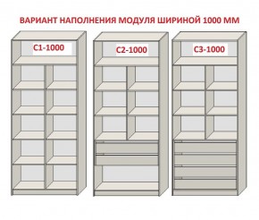 Шкаф распашной серия «ЗЕВС» (PL3/С1/PL2) в Покачах - pokachi.mebel24.online | фото 7