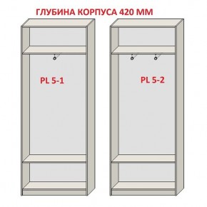 Шкаф распашной серия «ЗЕВС» (PL3/С1/PL2) в Покачах - pokachi.mebel24.online | фото 8