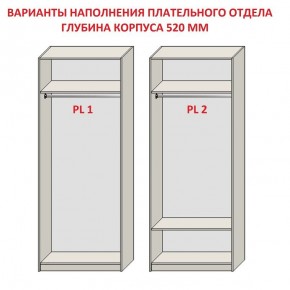 Шкаф распашной серия «ЗЕВС» (PL3/С1/PL2) в Покачах - pokachi.mebel24.online | фото 9