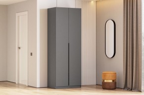 Шкаф ШК-5 + 2 полки (800) Графит серый в Покачах - pokachi.mebel24.online | фото 2