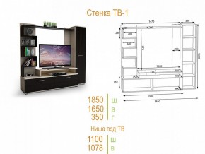Стенка для гостиной ТВ-1 в Покачах - pokachi.mebel24.online | фото 2