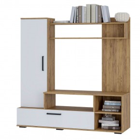 Гостиная Евро 2 (крафт/белый) в Покачах - pokachi.mebel24.online | фото 3