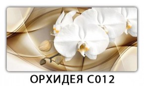 Стол раздвижной Трилогия с фотопечатью Доска D111 в Покачах - pokachi.mebel24.online | фото 13
