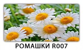 Стол раздвижной Трилогия с фотопечатью Доска D111 в Покачах - pokachi.mebel24.online | фото 15