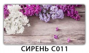 Стол раздвижной Трилогия с фотопечатью Доска D111 в Покачах - pokachi.mebel24.online | фото 16