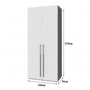 СТОУН С23 Шкаф 2-х створчатый (анкор темный/анкор светлый) в Покачах - pokachi.mebel24.online | фото 2