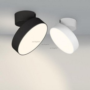 Светильник на штанге Arlight SP-RONDO-FLAP-R210-20W Day4000 (BK, 110 deg) 026453 в Покачах - pokachi.mebel24.online | фото 3