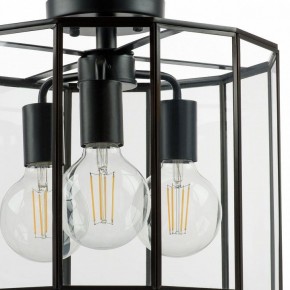 Светильник на штанге Lightstar Genni 798237 в Покачах - pokachi.mebel24.online | фото 4
