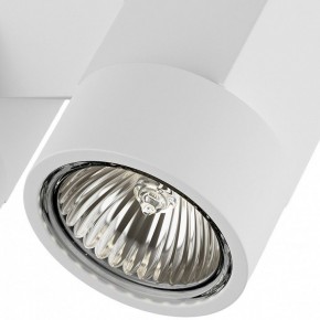 Светильник на штанге Lightstar Illumo X2 051036 в Покачах - pokachi.mebel24.online | фото 2
