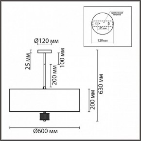 Светильник на штанге Lumion Damona 8108/7C в Покачах - pokachi.mebel24.online | фото 4