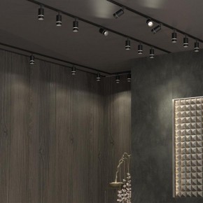 Светильник на штанге Novotech Elina 370777 в Покачах - pokachi.mebel24.online | фото 4