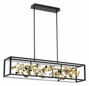 Светильник на штанге Odeon Light Bild 5065/65L в Покачах - pokachi.mebel24.online | фото