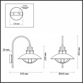 Светильник на штанге Odeon Light Dante 4164/1WA в Покачах - pokachi.mebel24.online | фото 5