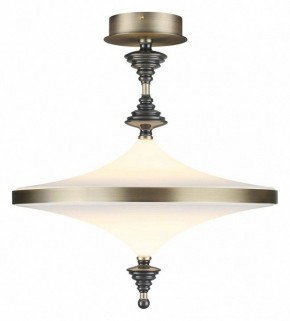 Светильник на штанге Odeon Light Ula 5404/43CL в Покачах - pokachi.mebel24.online | фото 2