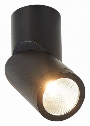 Светильник на штанге ST-Luce ST650 ST650.442.10 в Покачах - pokachi.mebel24.online | фото 2