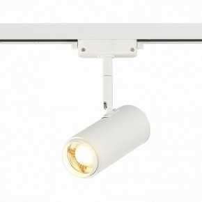 Светильник на штанге ST-Luce Zoom ST600.536.12 в Покачах - pokachi.mebel24.online | фото 2