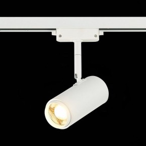 Светильник на штанге ST-Luce Zoom ST600.536.12 в Покачах - pokachi.mebel24.online | фото 4