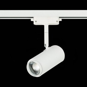 Светильник на штанге ST-Luce Zoom ST600.546.12 в Покачах - pokachi.mebel24.online | фото 5