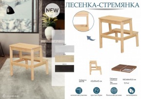 Табурет Стремянка в Покачах - pokachi.mebel24.online | фото 4